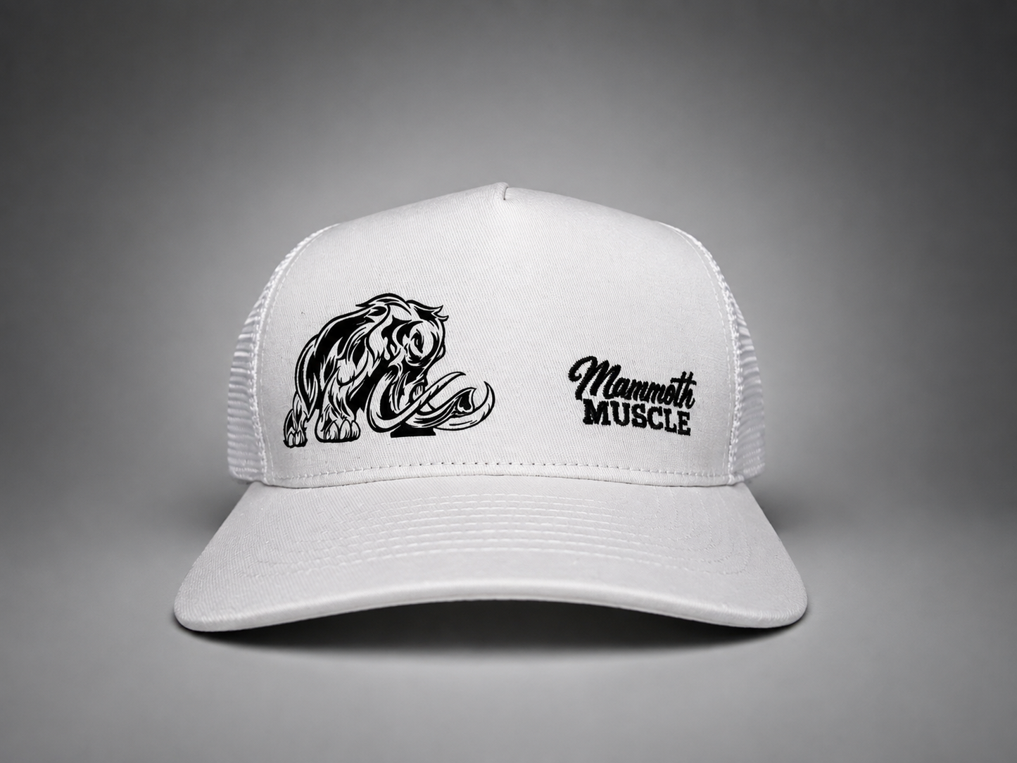 White "Two Logo" Hat